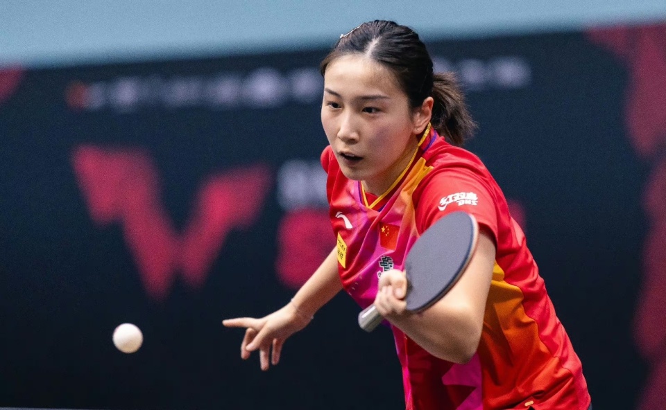 法国队碾压韩国队，马琳惊艳四座的简单介绍