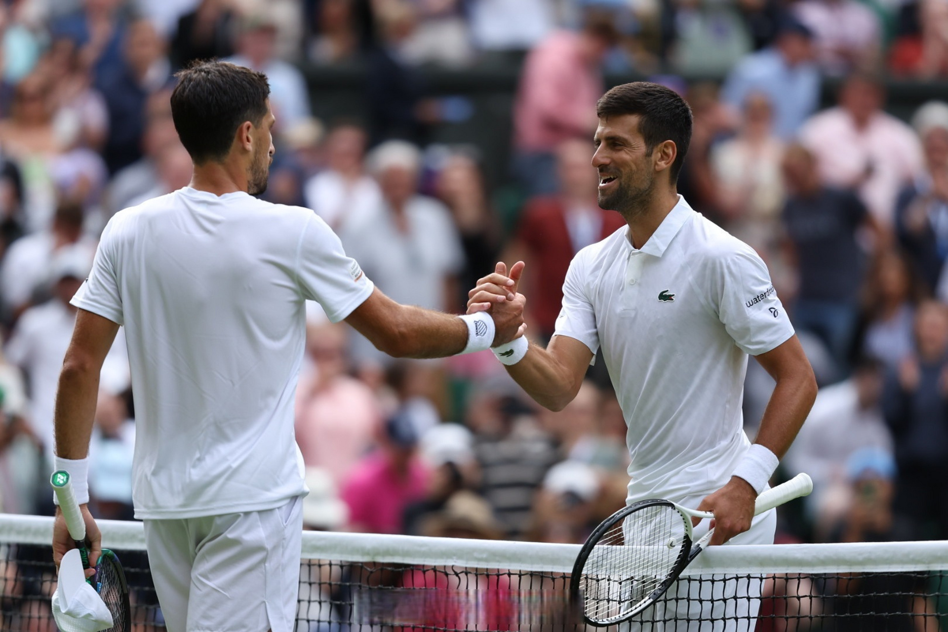 温网碾压戴维斯杯，德约科维奇点燃赛场的简单介绍
