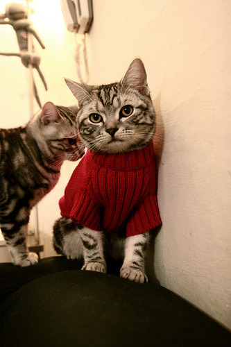 新王当立！卡马文加一鸣惊人，乌拉圭终结比利时黄金时代