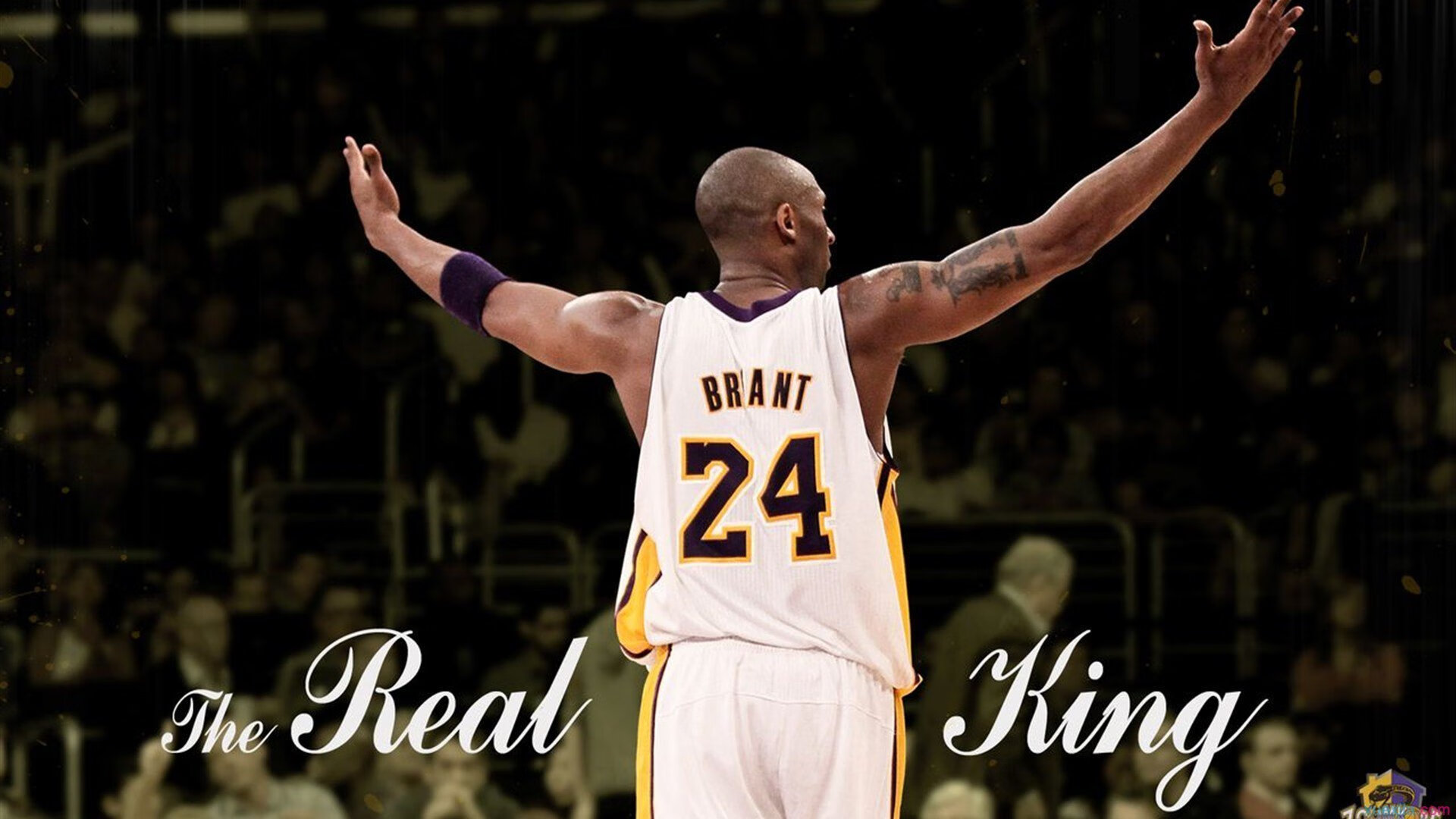 唯一性的双城记,掘金力克灰熊与哈利伯顿的德甲跨界传奇