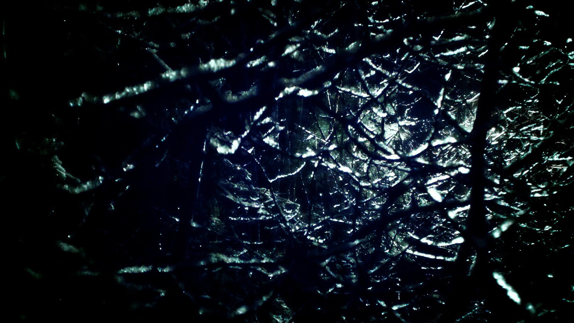 风城火焰,当小贾伦的星火点燃麦迪逊的冰川