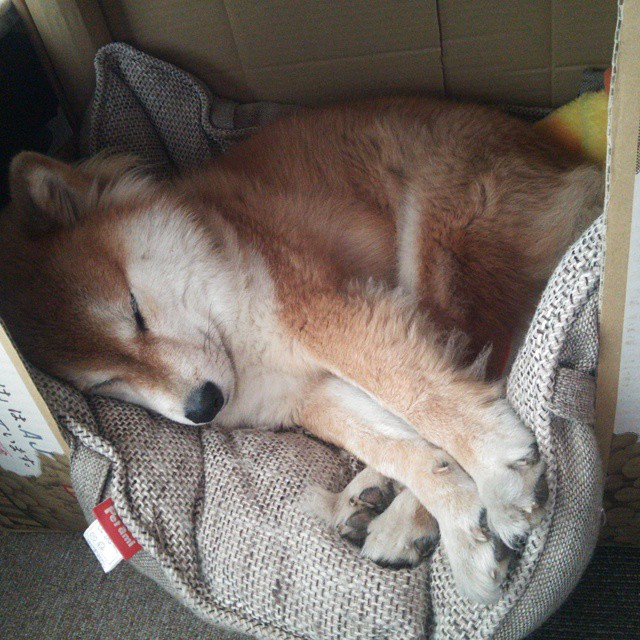 雷火电竞主播-铁幕与琴弦，楚阿梅尼在欧冠之夜的唯一性证明