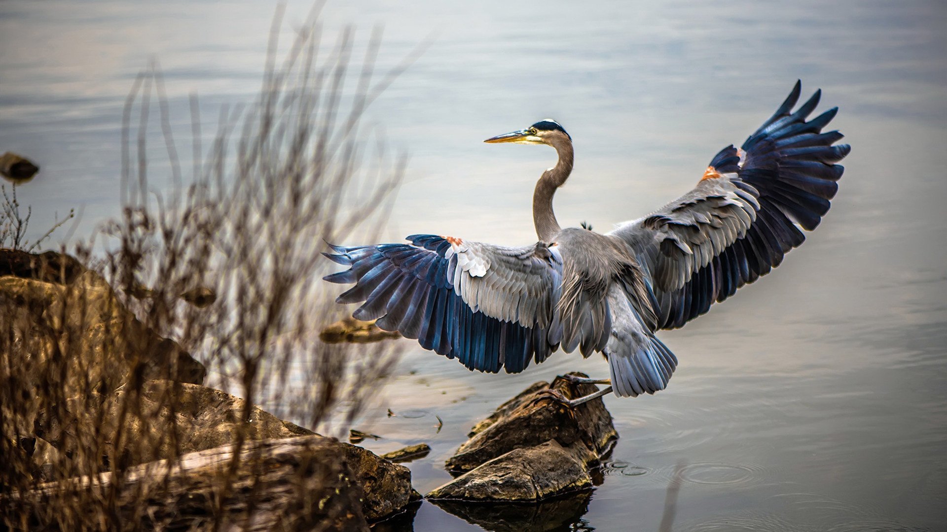唯一性的双星,佛罗伦萨粉碎伊朗神话,莱万欧冠决赛封王