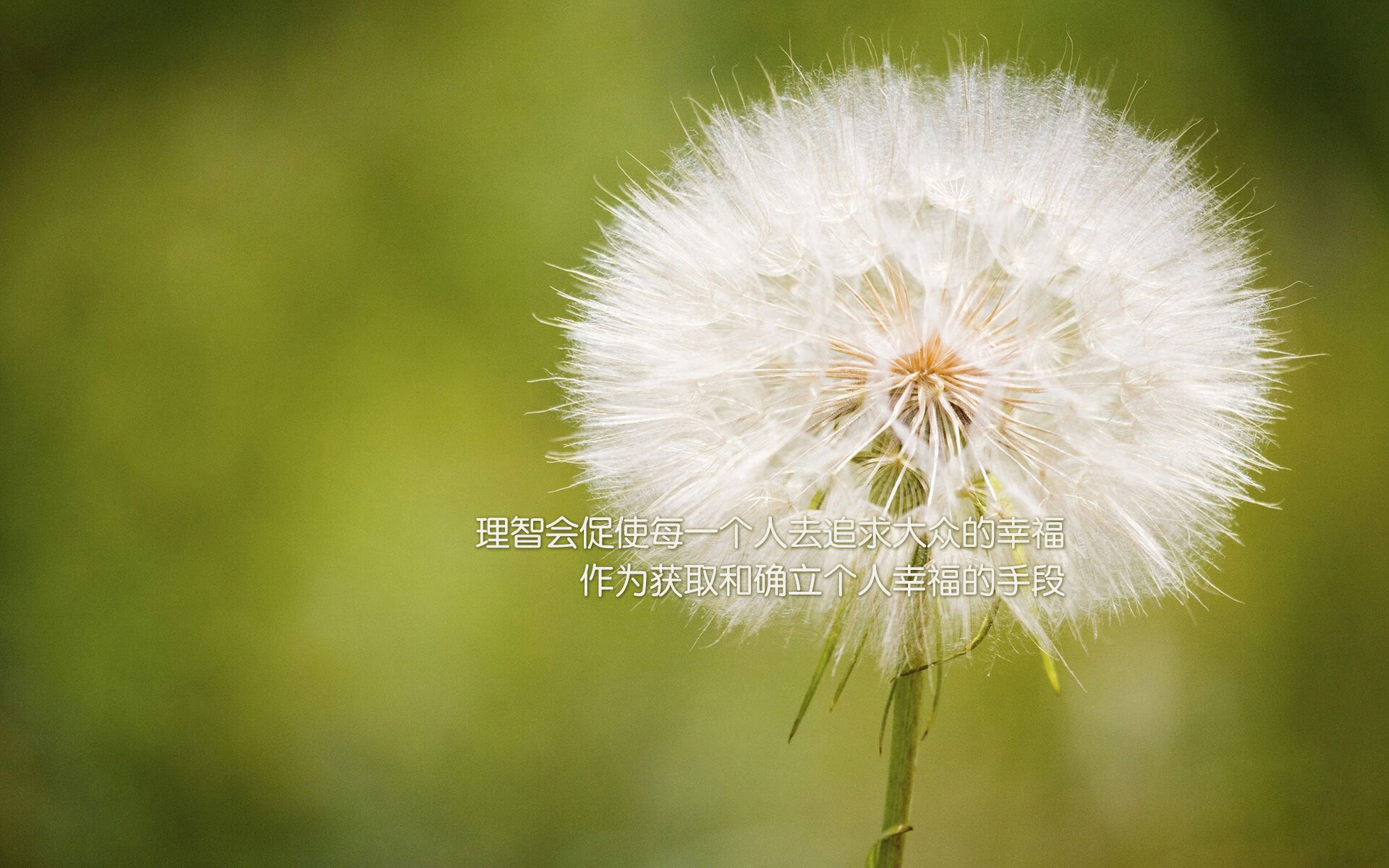 雷火电竞下载-北伦敦之眼，当阿森纳的埃及蓝图遇上奥斯梅恩的欧冠风暴