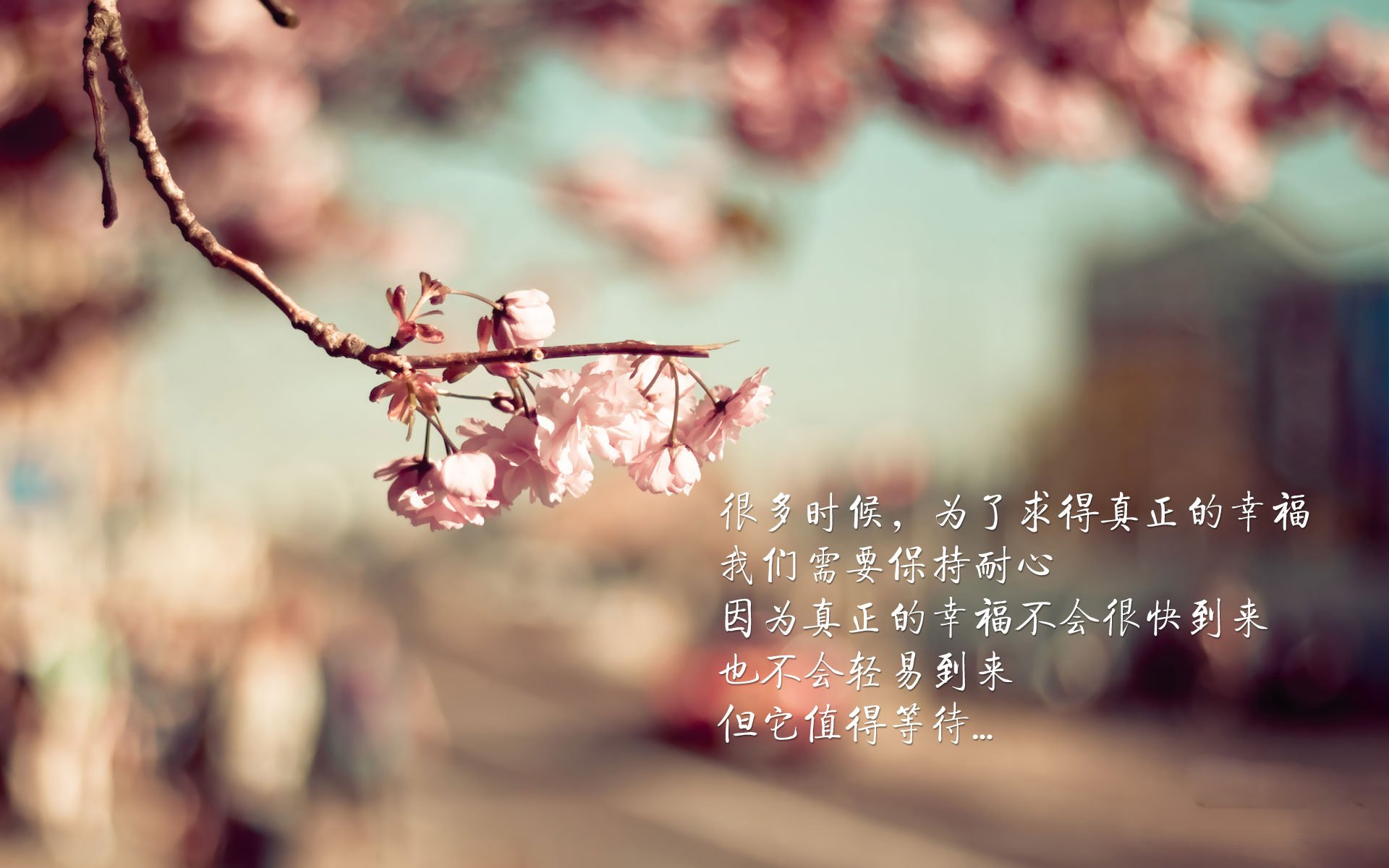 绿茵场上的双面镜，当西甲德比遭遇国际米兰式碾压