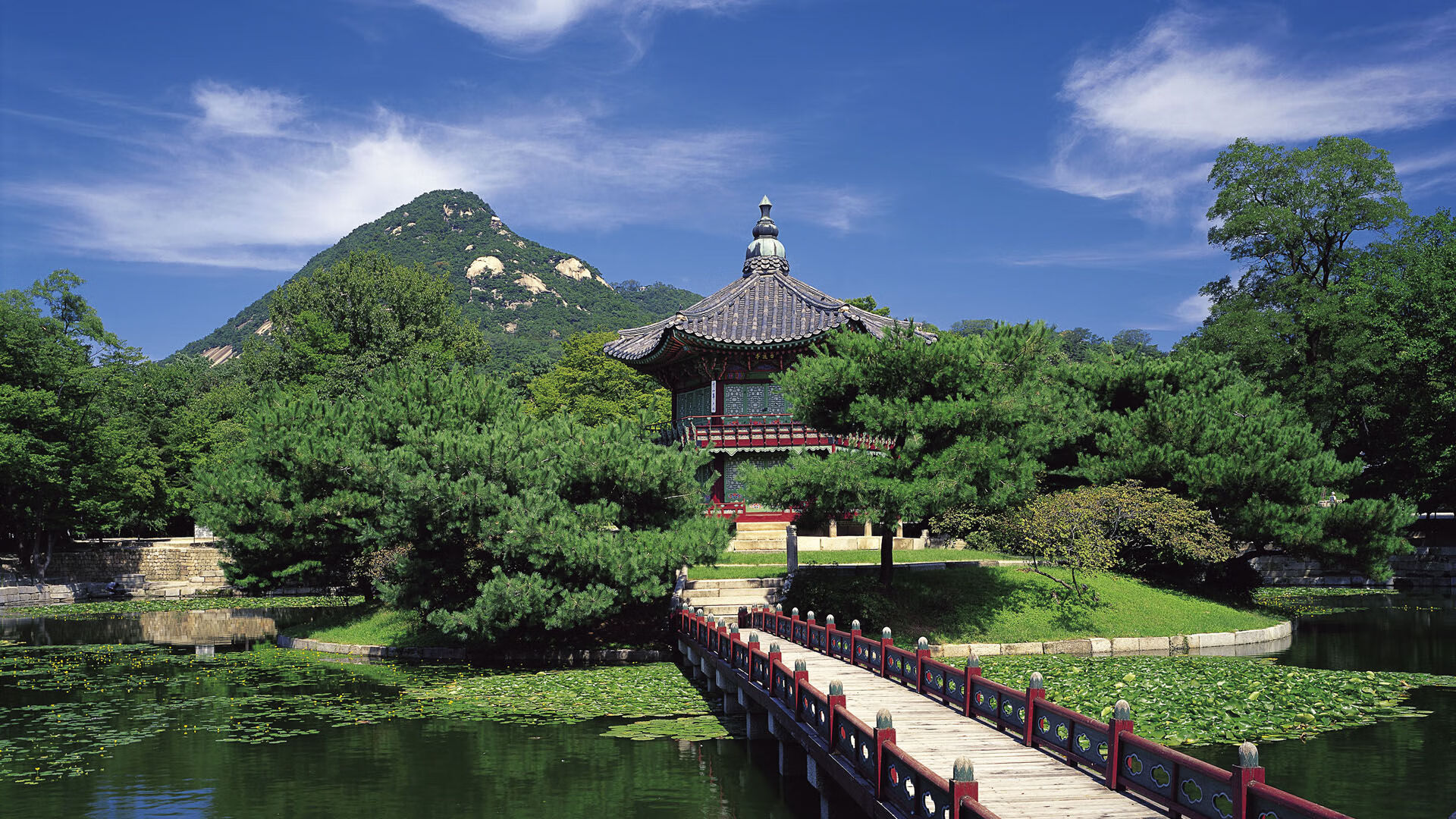 雷火电竞-钢铁脉搏上的蝶翼，爱德华兹在F1街道赛之夜的绝境华尔兹