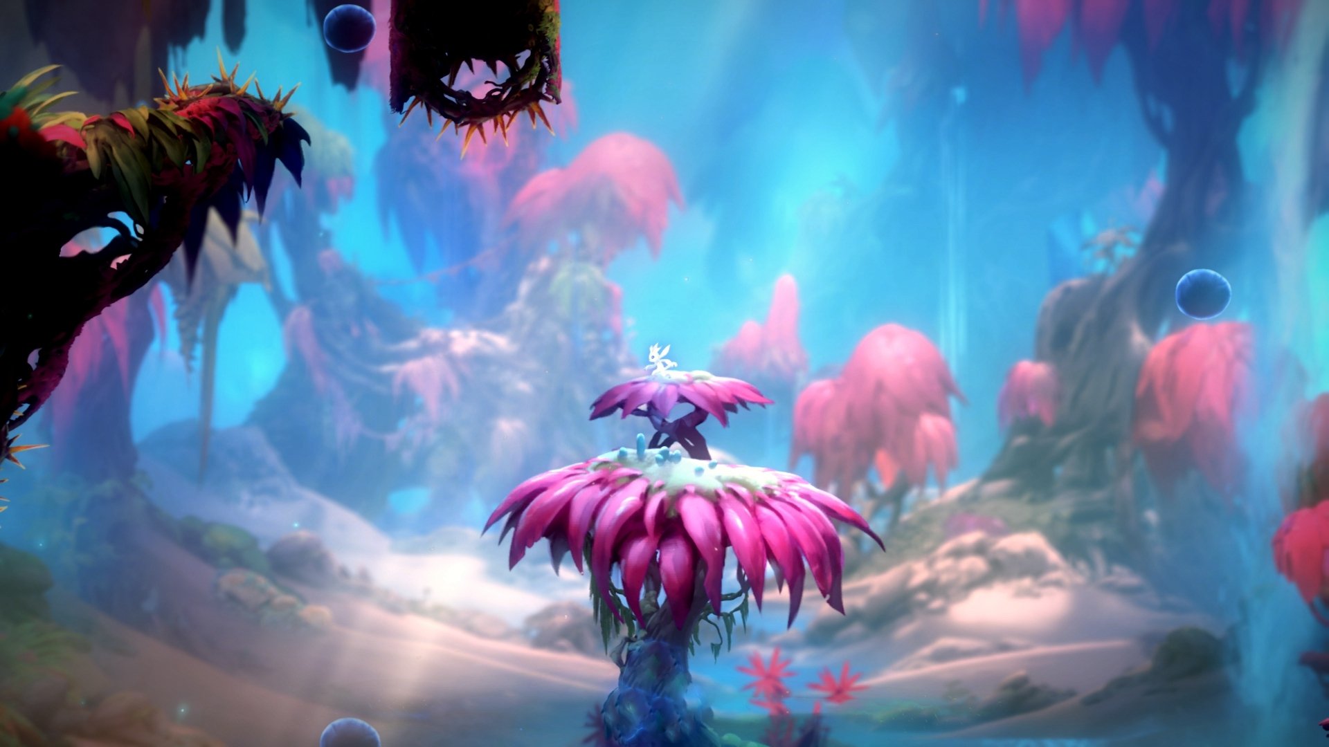 黄喜灿如节拍器般带动全队节奏,切尔西以强势姿态击破挪威铁壁晋级