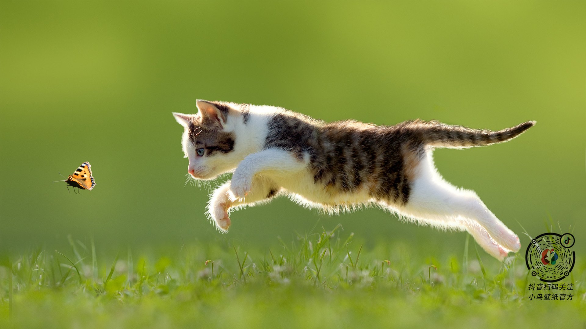 当太阳遇到长城,世界排名争夺战的焦点对决