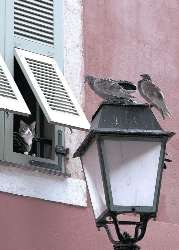 北欧寒刀精准收割美洲明珠，内马尔如何成为瑞典足球破局的关键先生