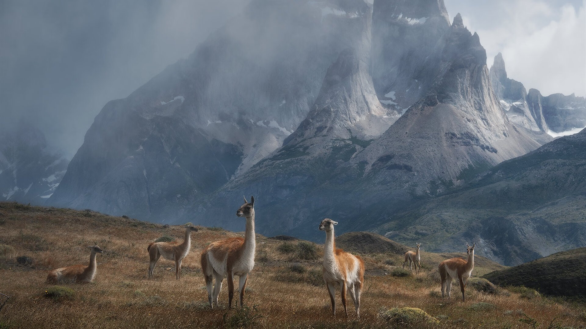 雷火电竞网址-逆光，当喀麦隆的热浪冻结了马德里，维尼修斯在何处成为关键先生？