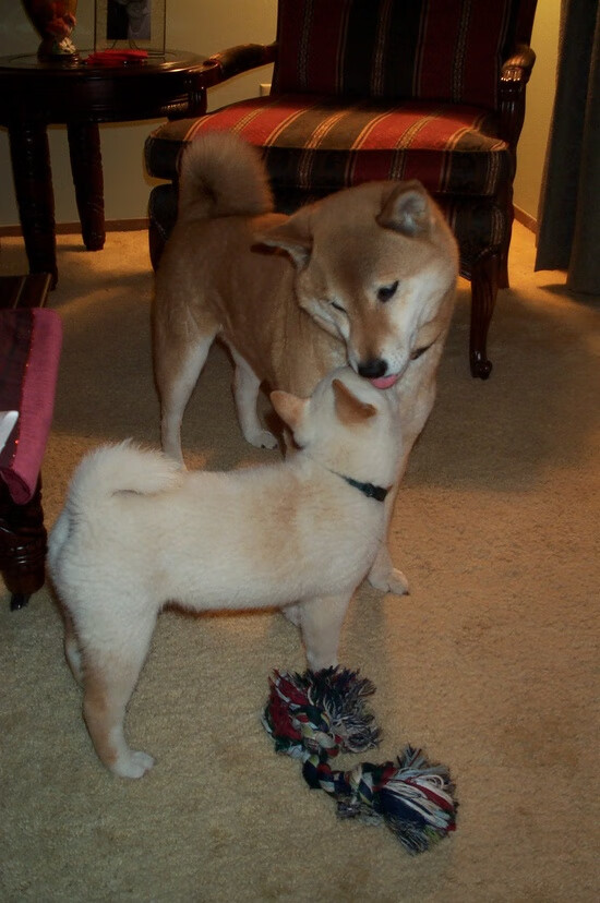 贝恩的无声交响乐，当节奏成为唯一统治者