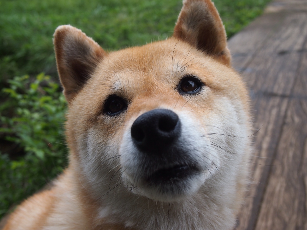 平行宇宙的哨响,当布克在东决之夜打出冠军级表现