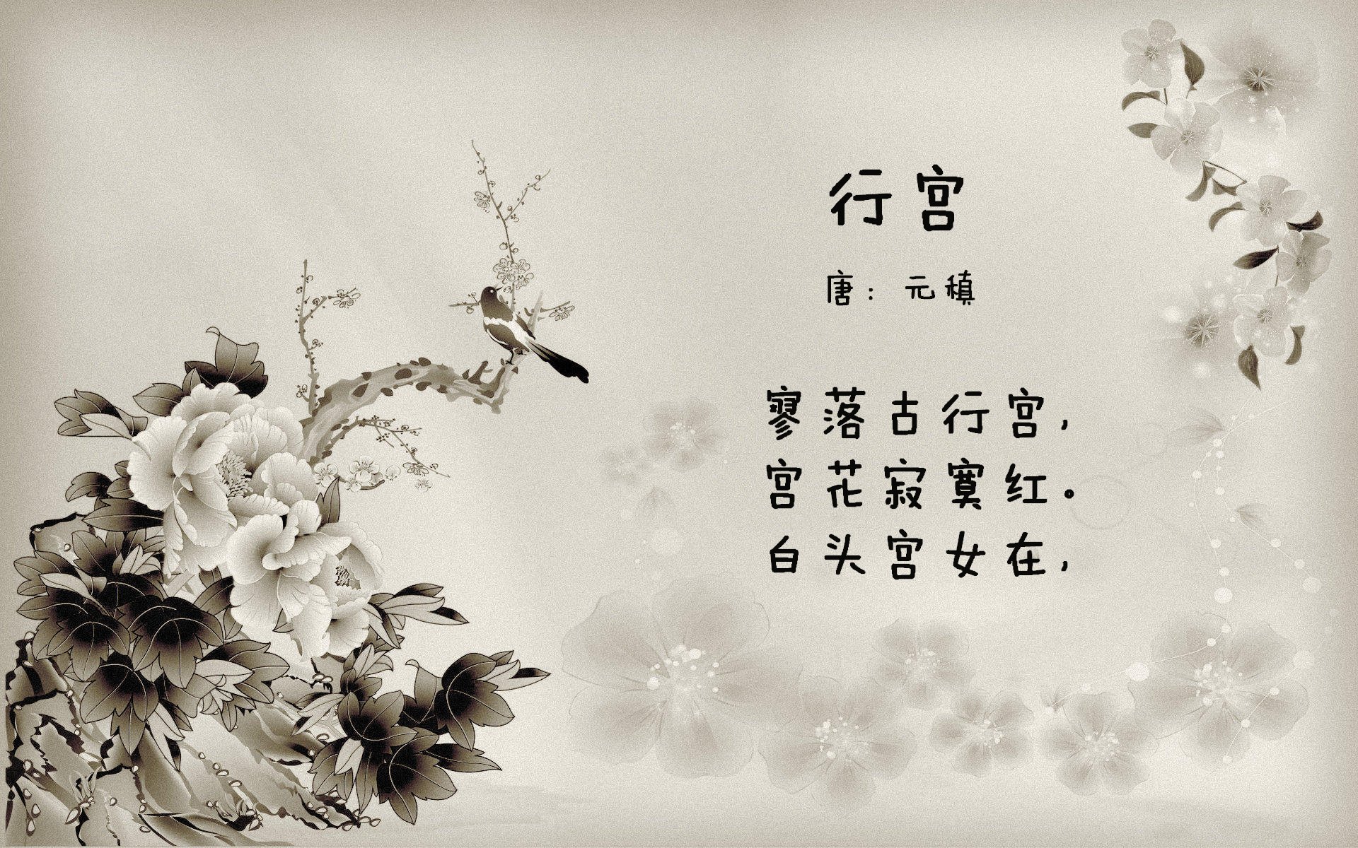 当东方巨人遭遇紫色王朝,达龙·福克斯在五棵松的封神之战