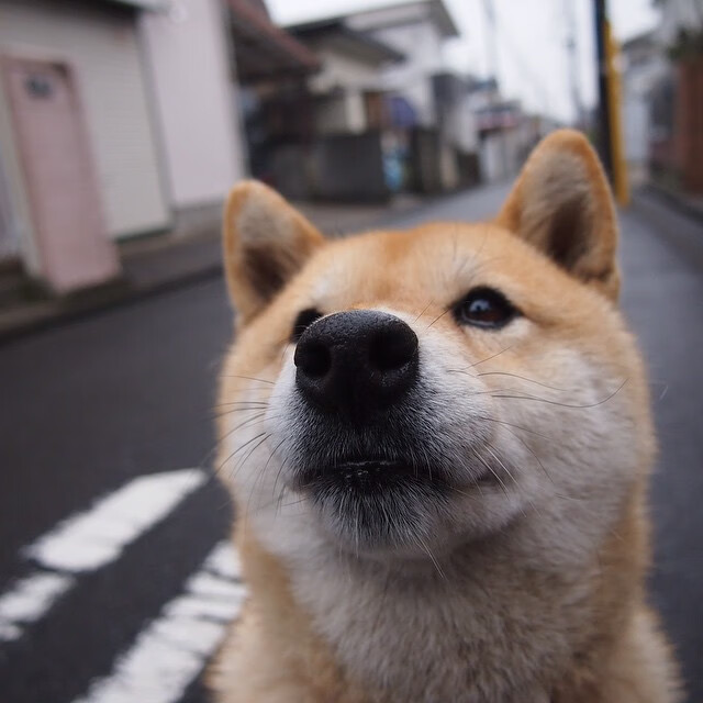绿茵权杖之争，福登一剑封喉的世界排名之夜
