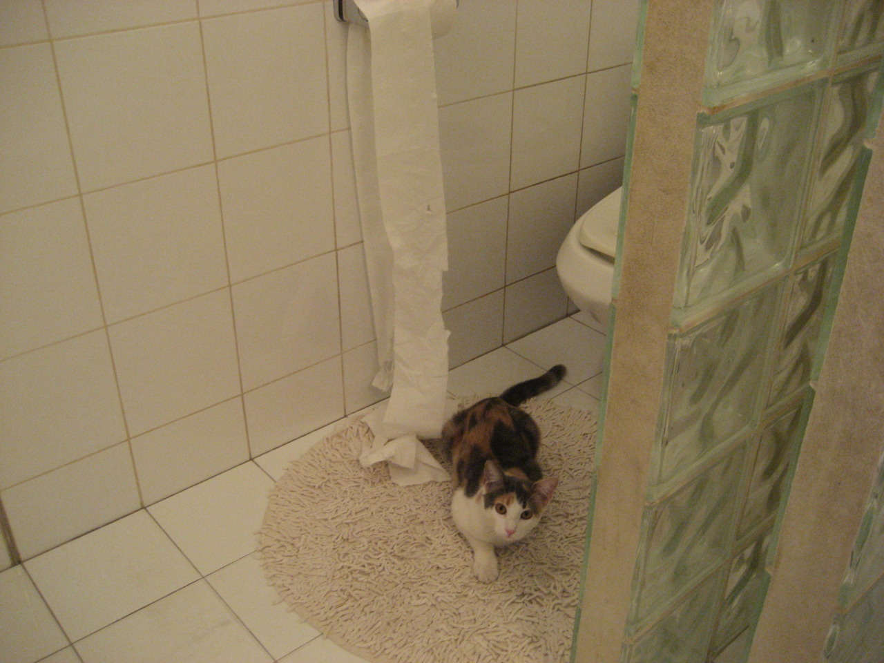 阿尔瓦雷斯单核闪光映照亚洲铁壁，当南美灵刃遇上希腊式收割