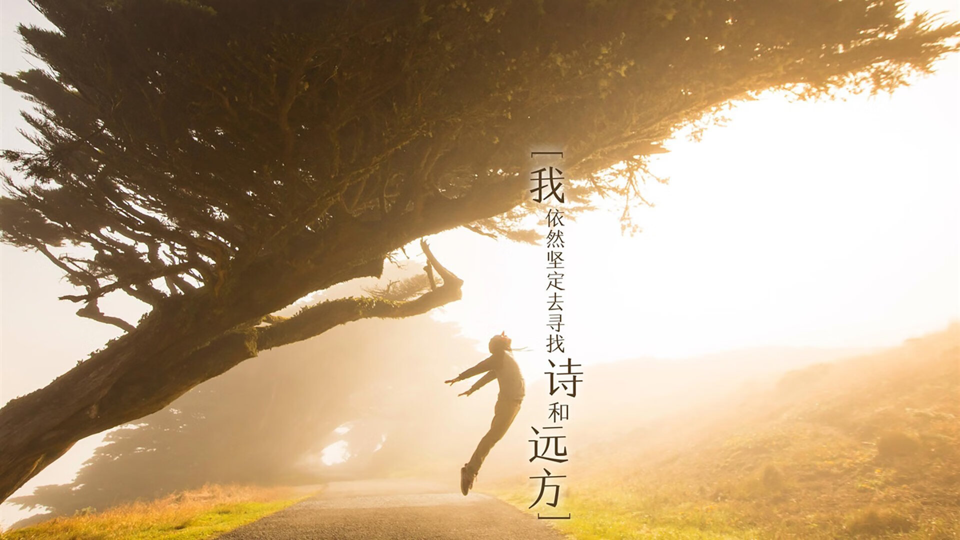 节奏大师加克波，当皇家社会铁壁遇上勒沃库森的手术刀