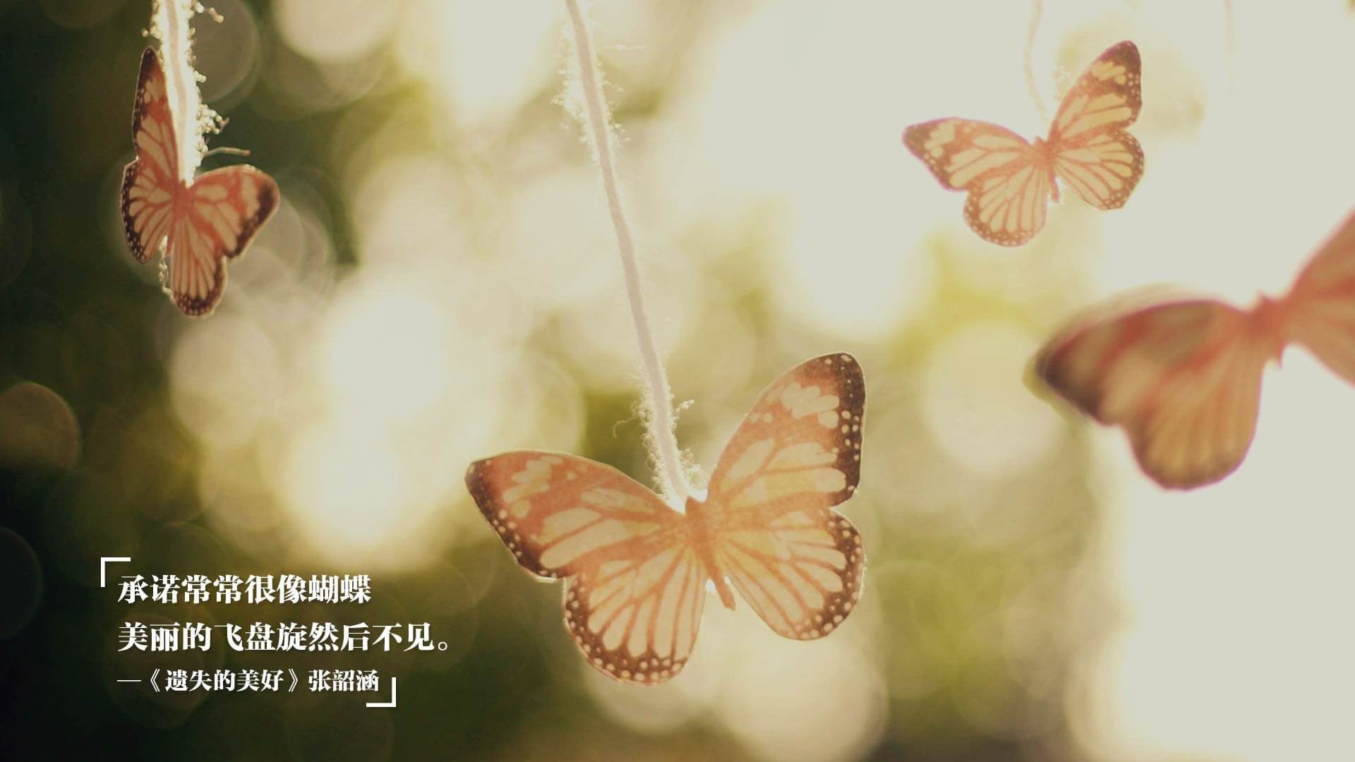 雷火电竞网站-森林狼集体绞杀太阳悬念，文班亚马独角戏证明超巨本质