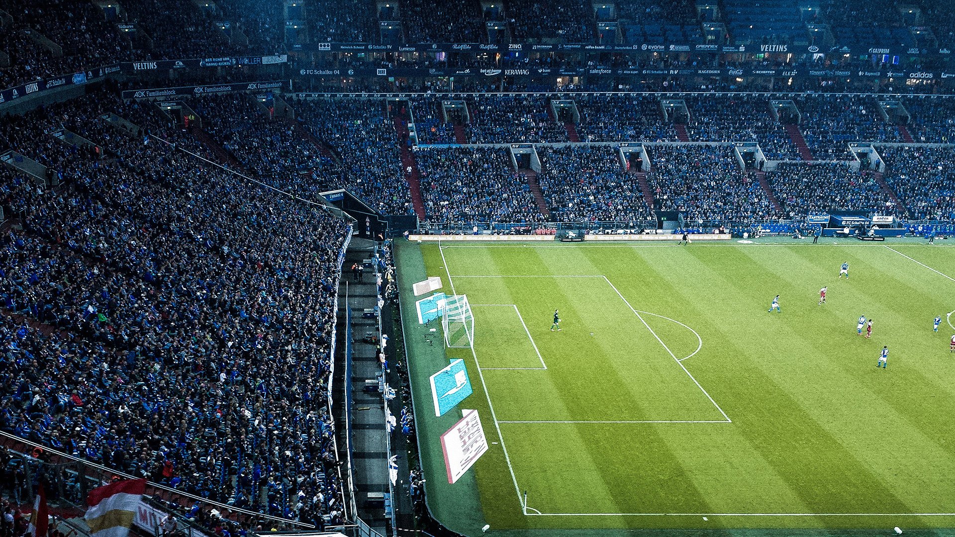 当东方篮网遇上西方篮网，辽宁团队篮球的收割艺术与范弗利特的生涯之夜