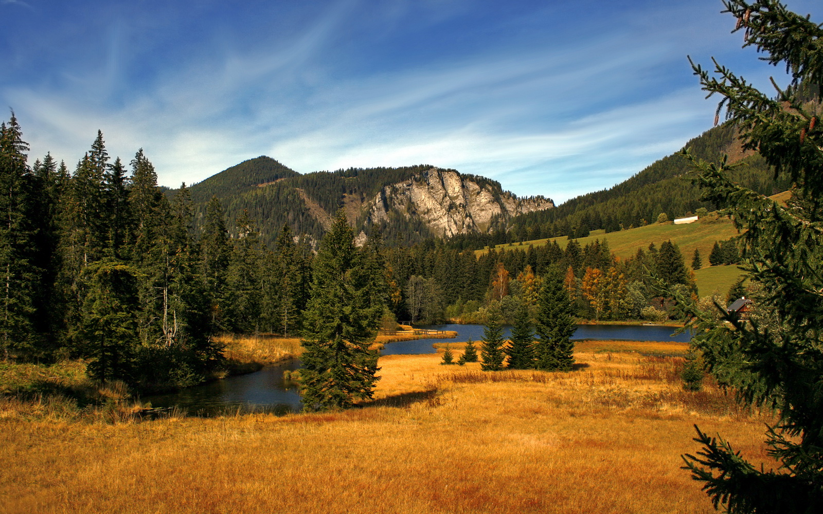 唯一性的回响，当黑衫军撕裂红牛，罗德里于抢七封神