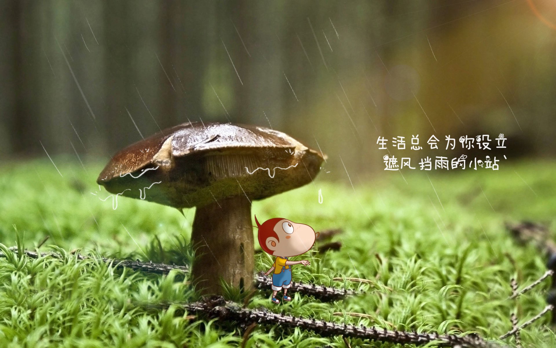 太阳单节烈焰焚熊,欧文驾F1驭风,同一片天空下的两种统治