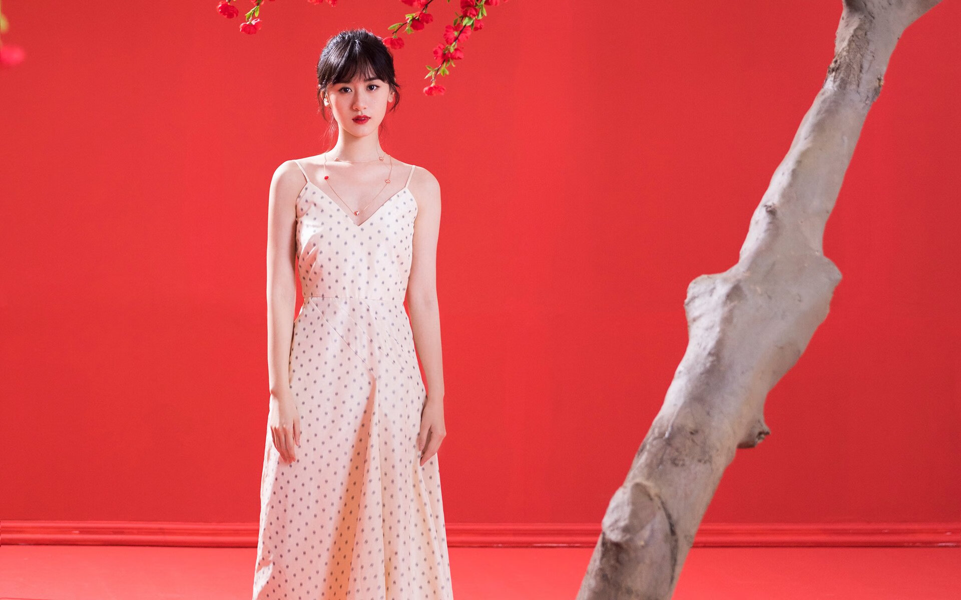 沙漠风暴横扫南美劲旅,2026世界杯F组,伊拉克用历史性胜利震惊世界