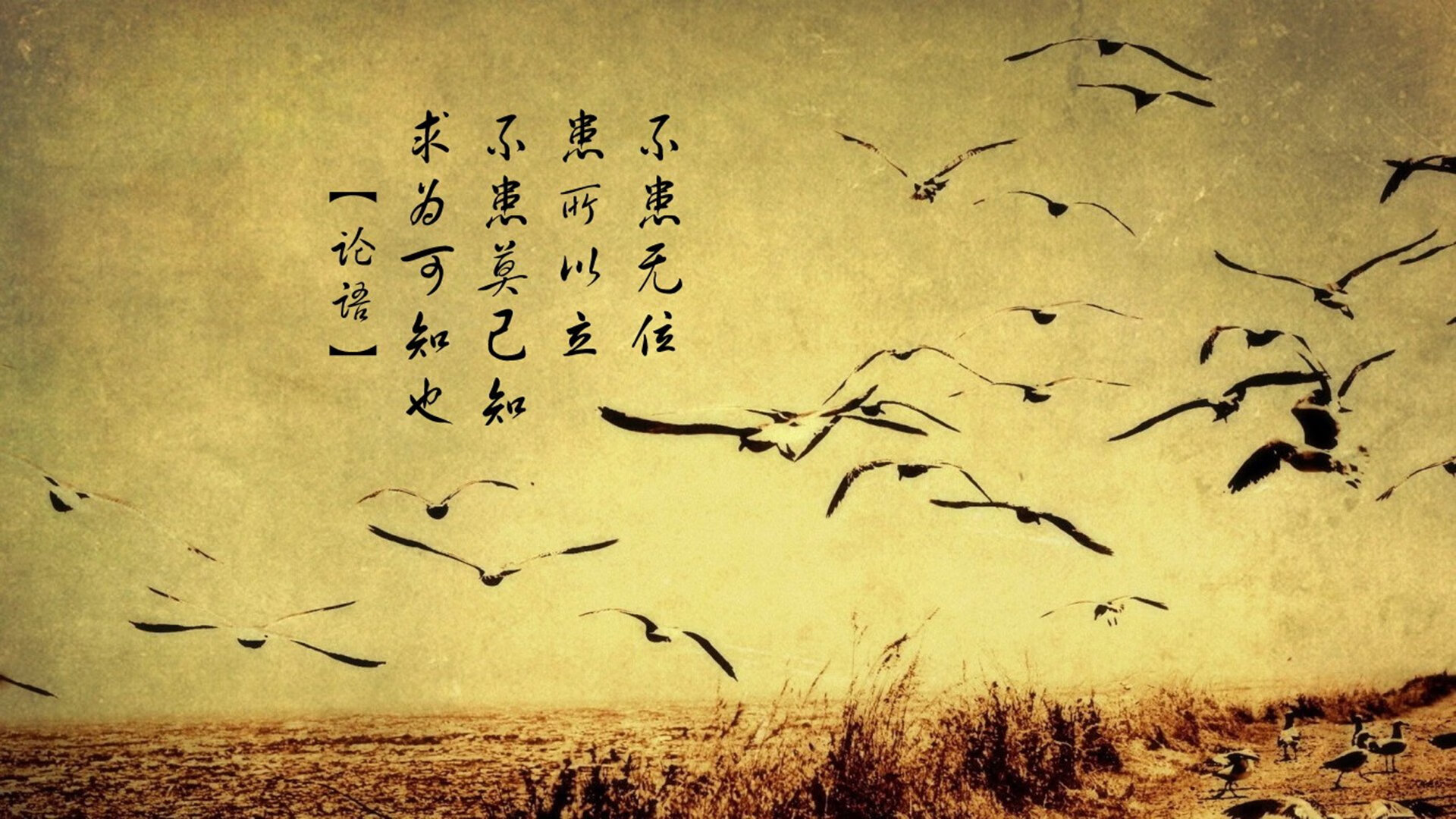 雷火电竞合作-2026世界杯决赛，瑞士绝杀越南，努涅斯全场压制铸就唯一传奇