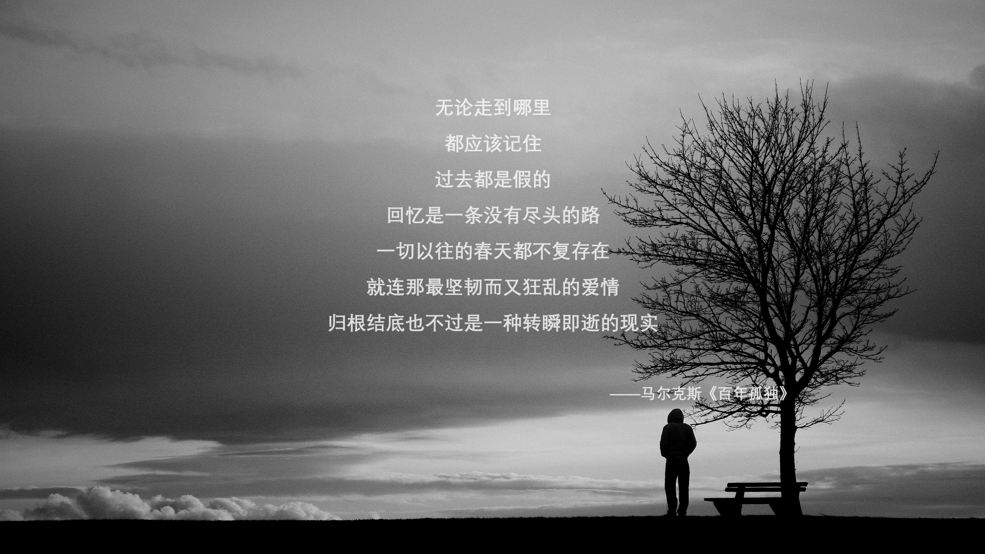雷火电竞网址-2026世界杯C组暗战，孙兴慜的灵光一现，如何撕裂罗马尼亚与沙特的天平？